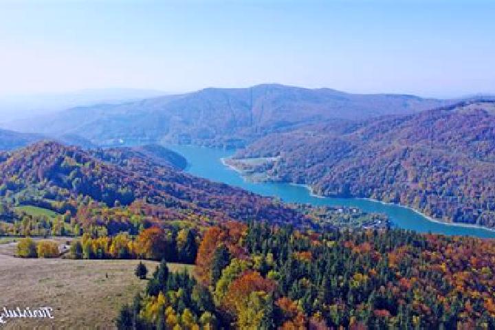 escort Valea Leurzii