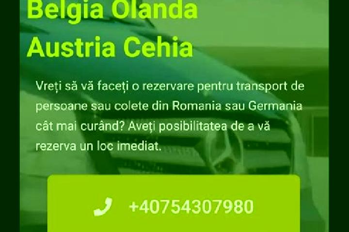 escort Valea Manastirii