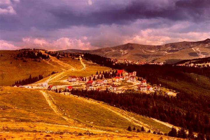 escort Valea Plopilor