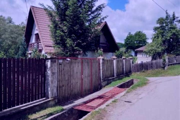 escort Valea Stalpului