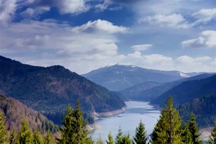 escort Valea Stejarului