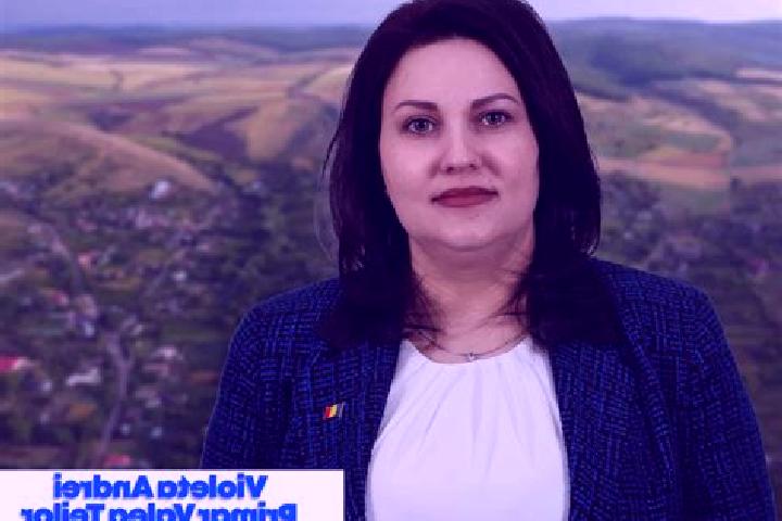 escort Valea Teilor