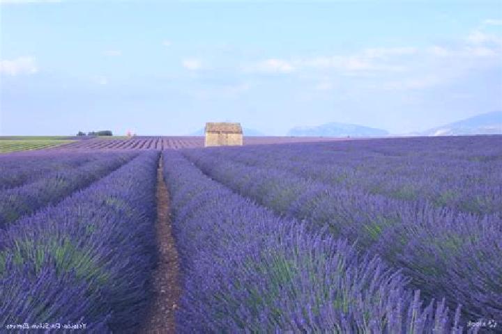 escort Valensole