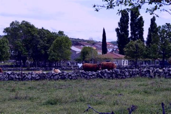 escort Valverde de Valdelacasa