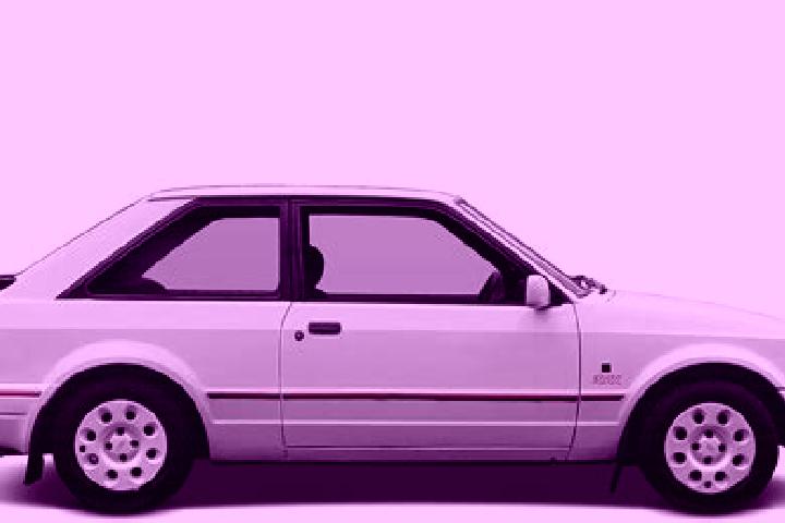escort Van Starkenborgh