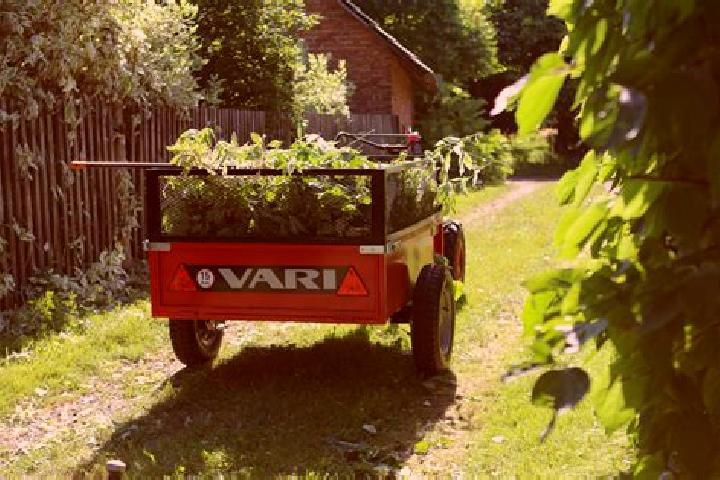escort Vari-ye Kalak