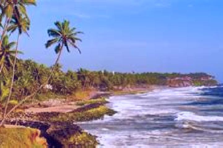 escort Varkala