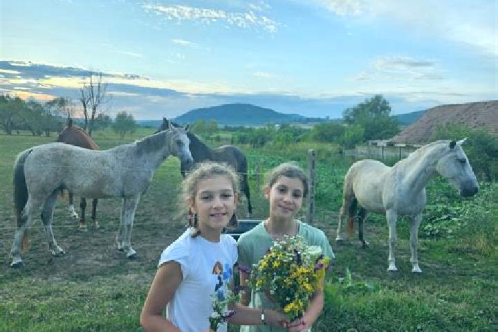 escort Vartoapele de Sus