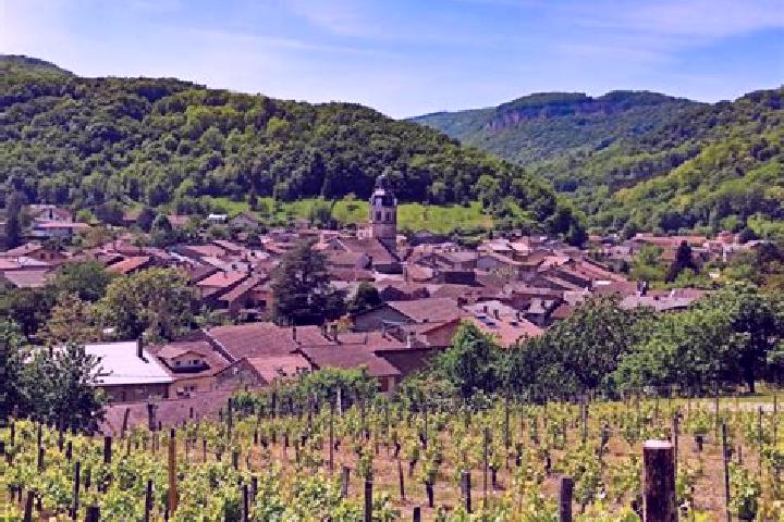 escort Vaux-en-Bugey