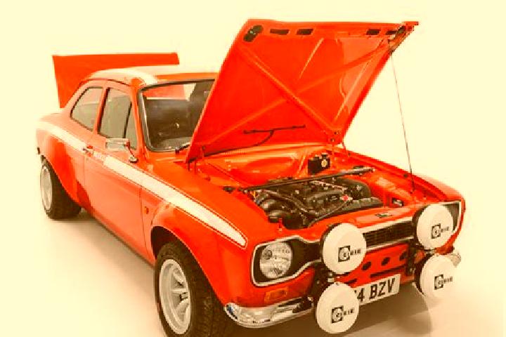 escort Vega Larga