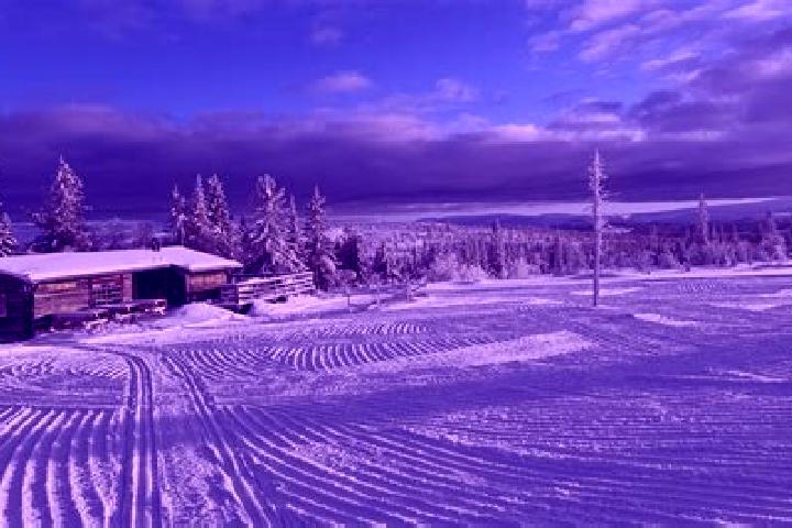 escort Vemdalen