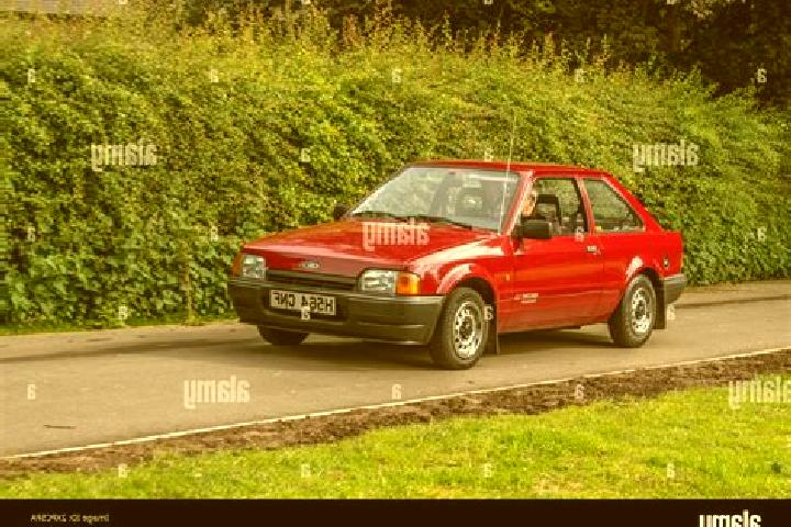 escort Veurne