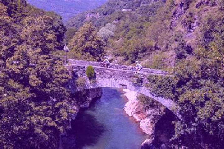 escort Vezza d Oglio