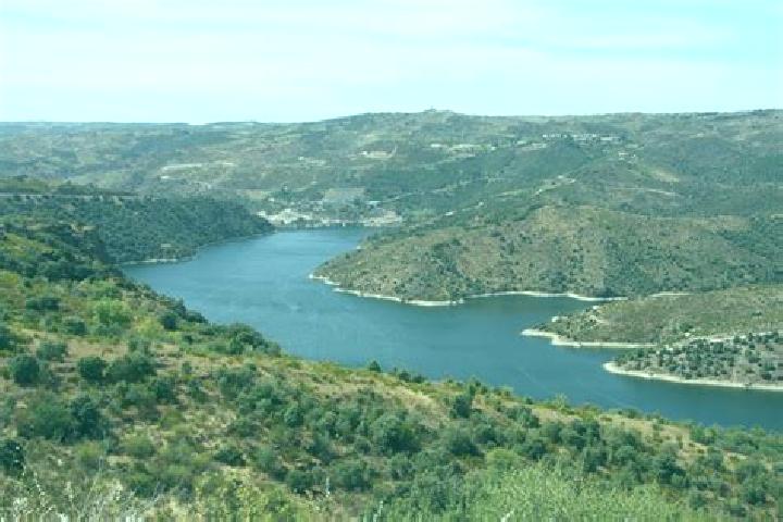 escort Viana de Duero