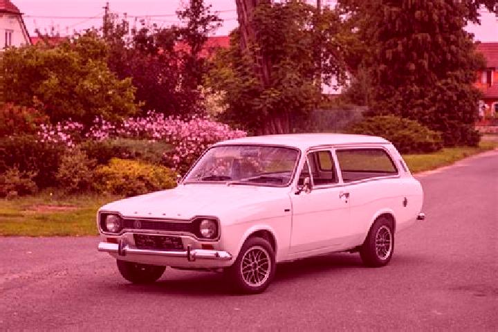 escort Videle