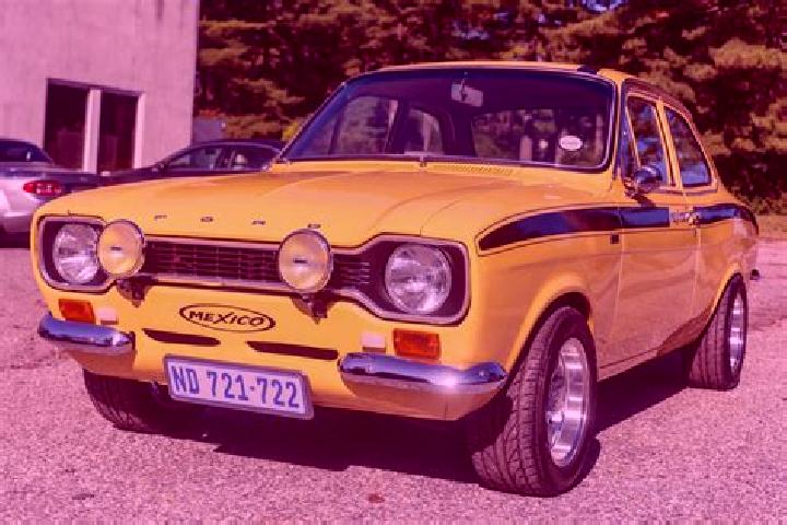 escort Videm