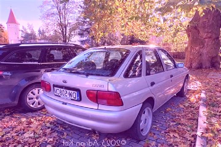 escort Vidra