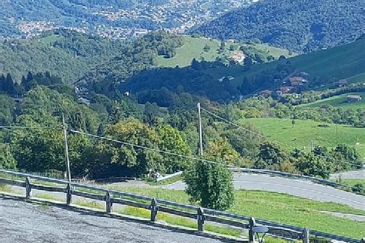 escort Vigano San Martino