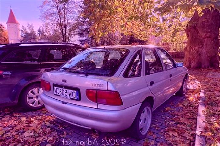 escort Viitivka