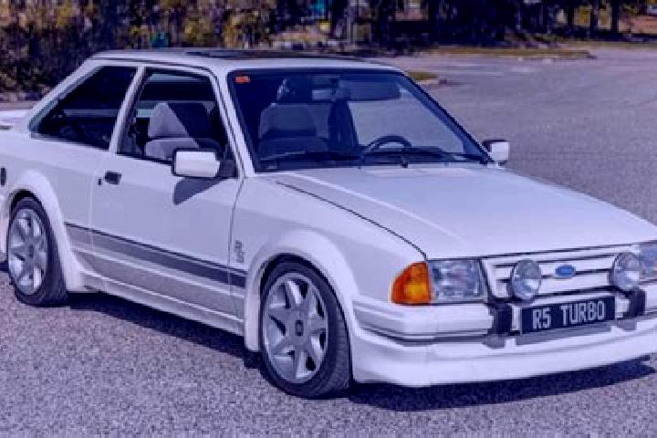 escort Viljevo