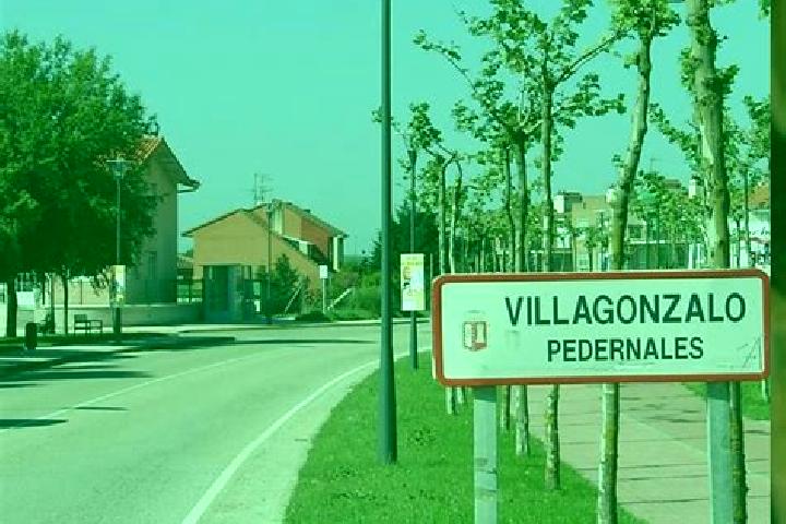escort Villagonzalo-Pedernales