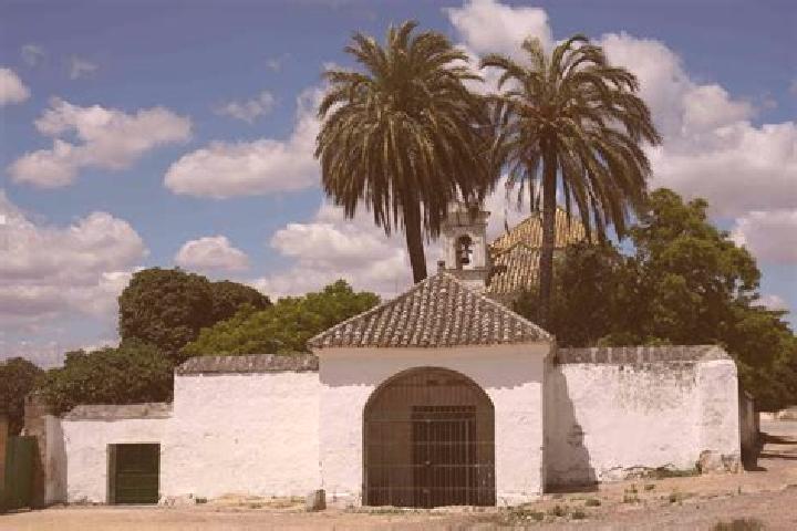 escort Villar de la Encina