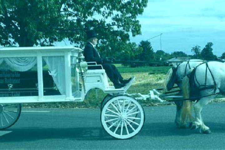 escort Vineland
