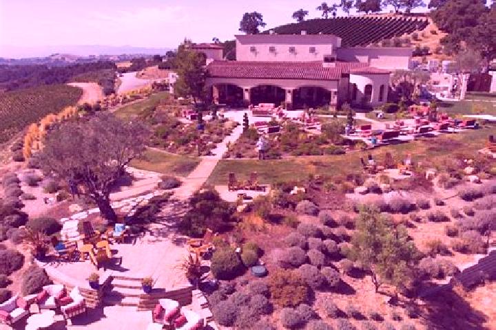 escort Vineyards