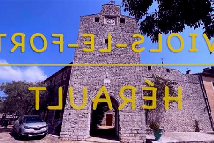 escort Viols-le-Fort
