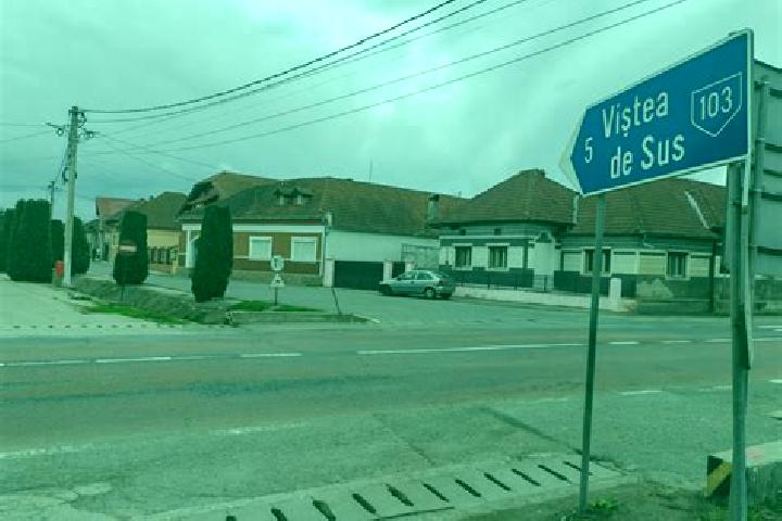 escort Vistea de Sus