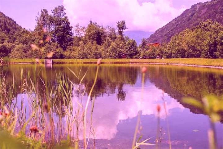 escort Viviers-les-Montagnes