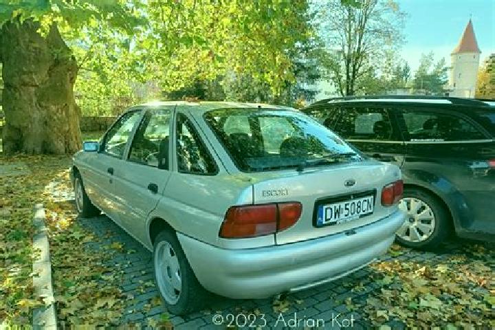 escort Vologda