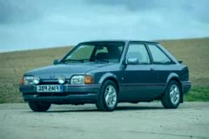 escort Volpedo