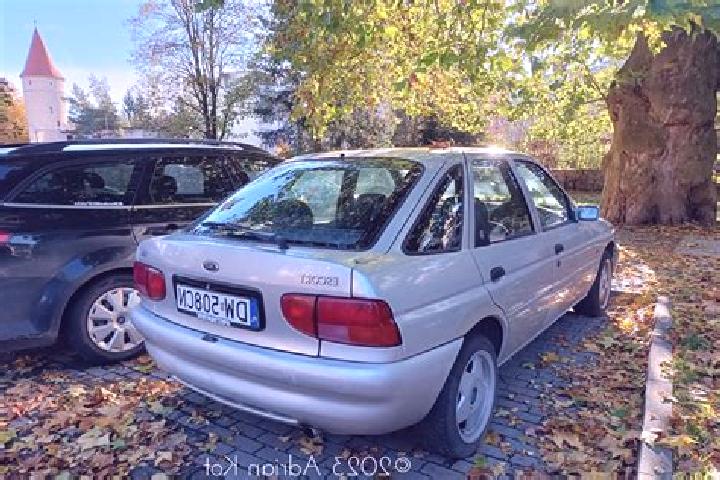 escort Vorsma