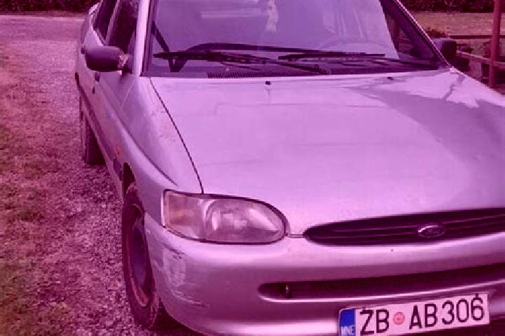 escort Vysokaya Gora