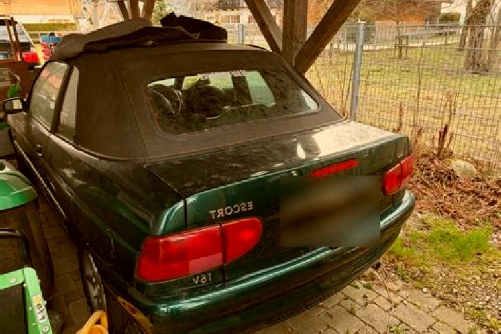 escort Waakirchen
