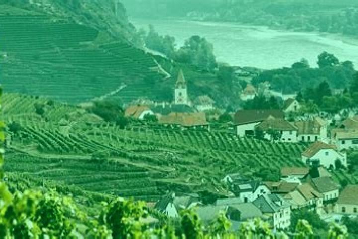 escort Wachau
