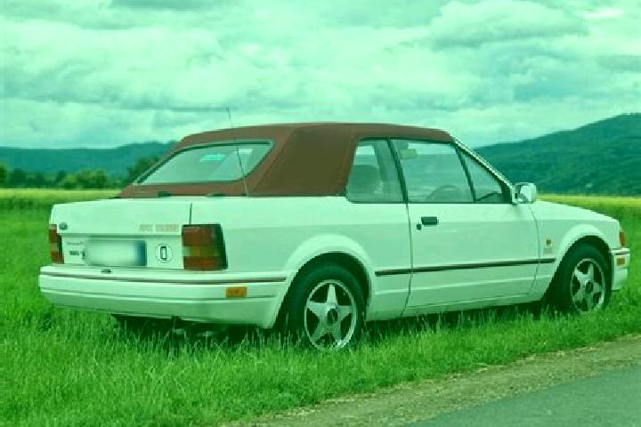 escort Wachtberg