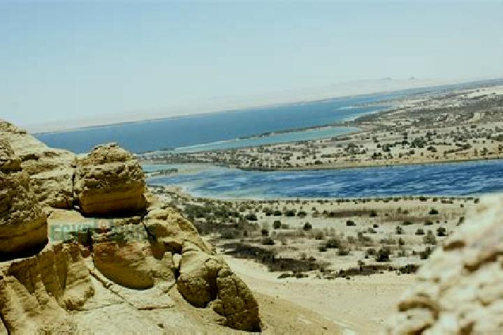 escort Wadi Rahhal