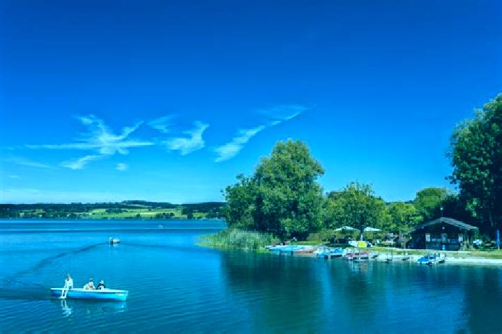 escort Waging am See