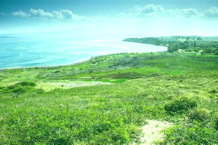 escort Waihee-Waiehu