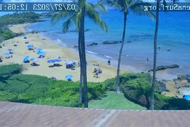 escort Wailea-Makena