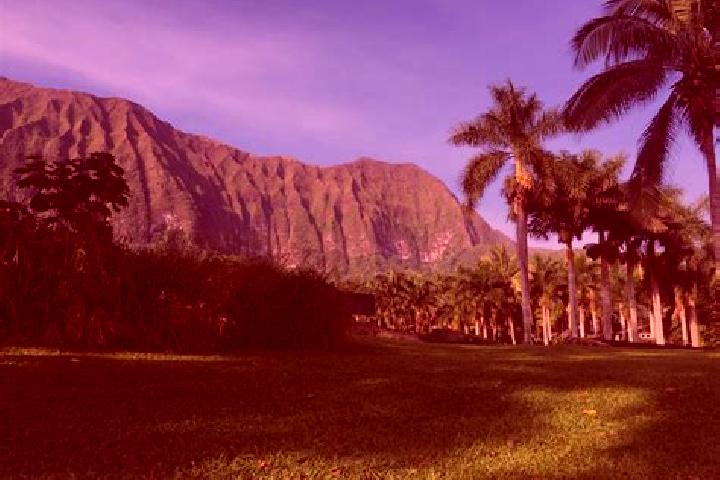 escort Waimanalo