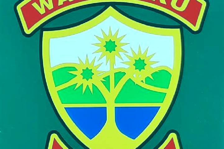 escort Waimauku