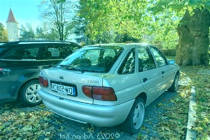 escort Wajiki