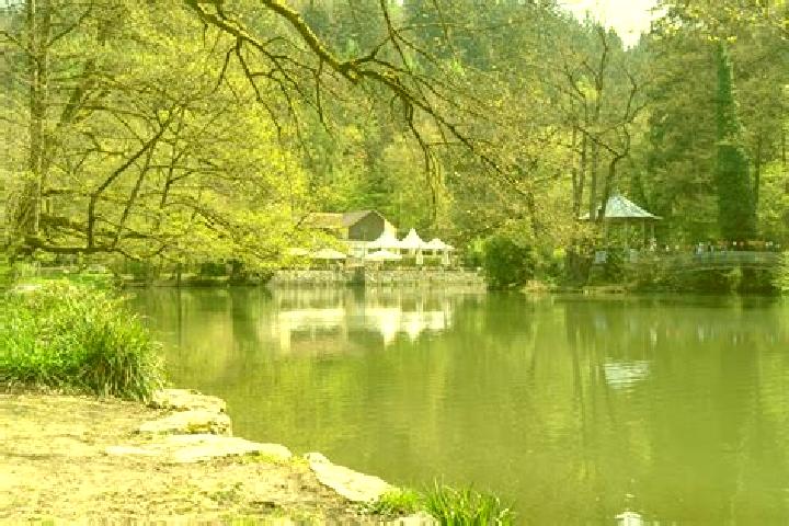 escort Waldsee