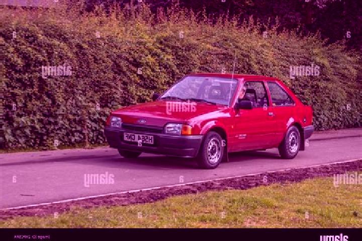 escort Wallendorf