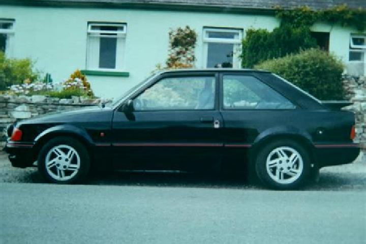 escort Warringholz