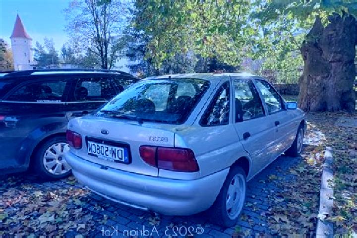 escort Waskemeer