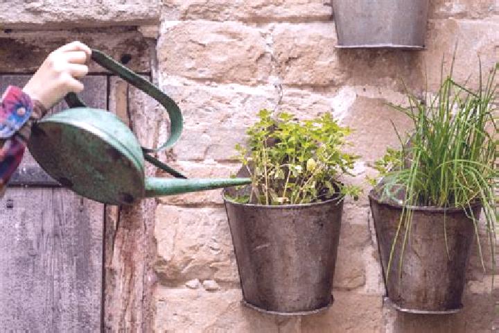 escort Watering Place